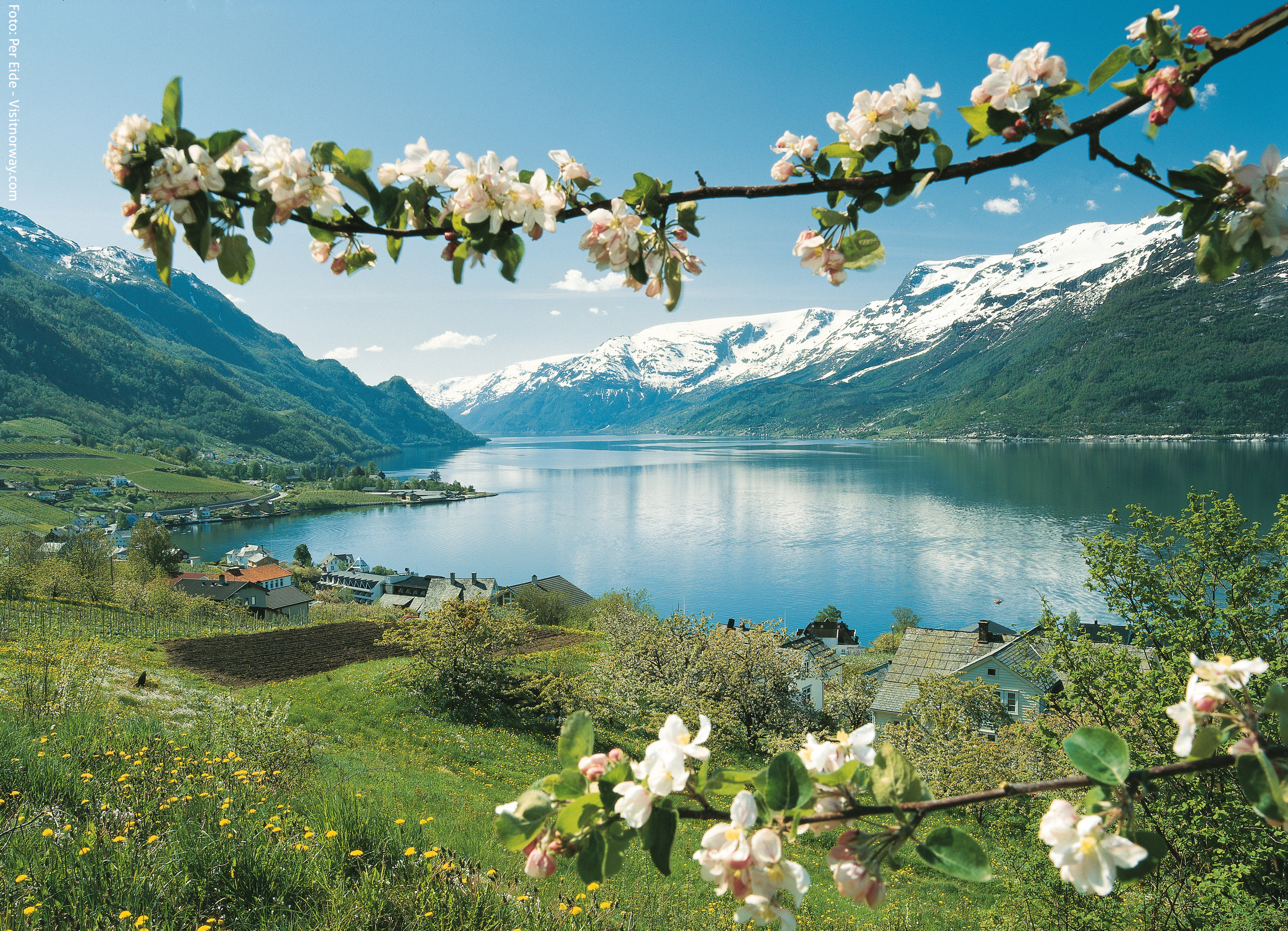 Tur til Ulvik, Hardanger